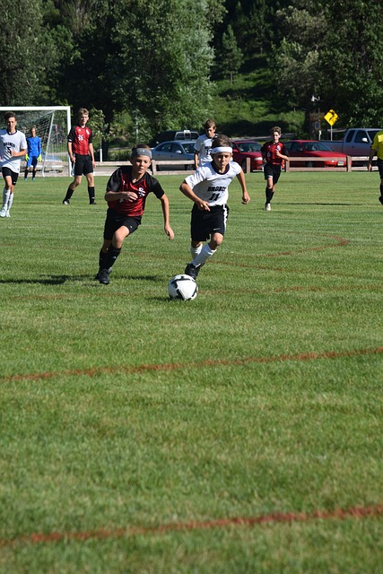 我们有理由 我们有理由