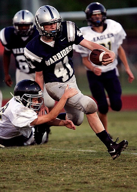 的竞技水准 的竞技水准