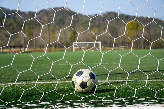 的出色表现 的出色表现